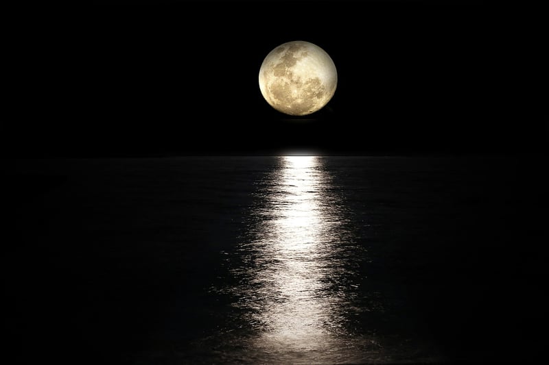 Lunar Elegance