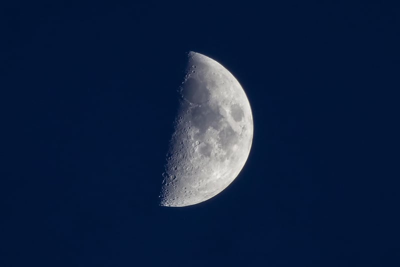 Moonlit Elegance Tuxedo
